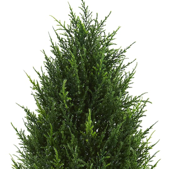 3ft. Potted Cypress Tower Tree